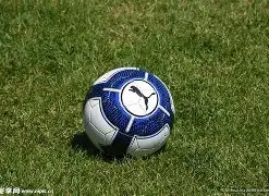 青岛险胜上,段昂君,分王哲林,2026世界杯,世界杯赛程,参加球队,赛事预测,举办城市